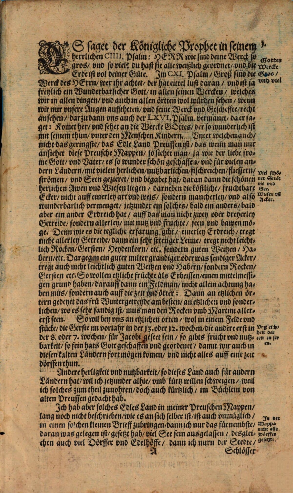 Hennenberger Text Page